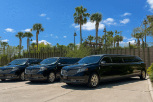 hourly limo service