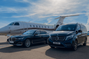 Palm Tree Music Festival Hamptons chauffeur service
