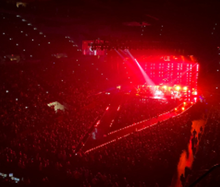 ImageWithFallback 19