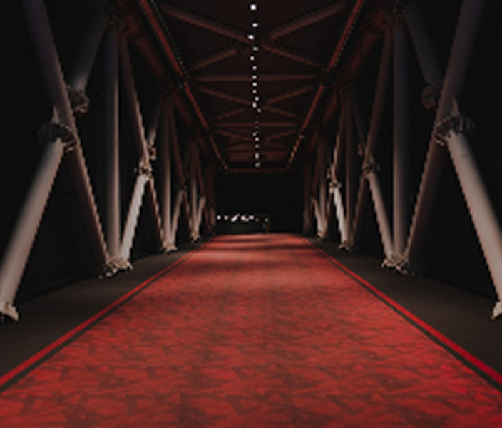 ImageWithFallback 29